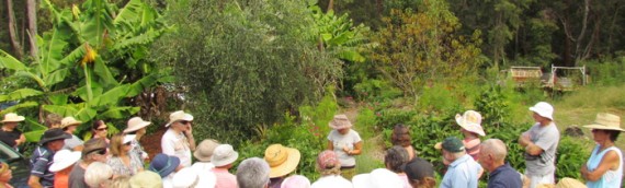 International Permaculture Day Open Garden Tour 2015